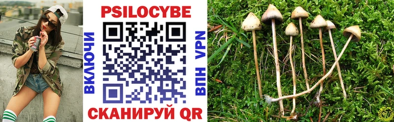 Галлюциногенные грибы прущие грибы  как найти   Ряжск 